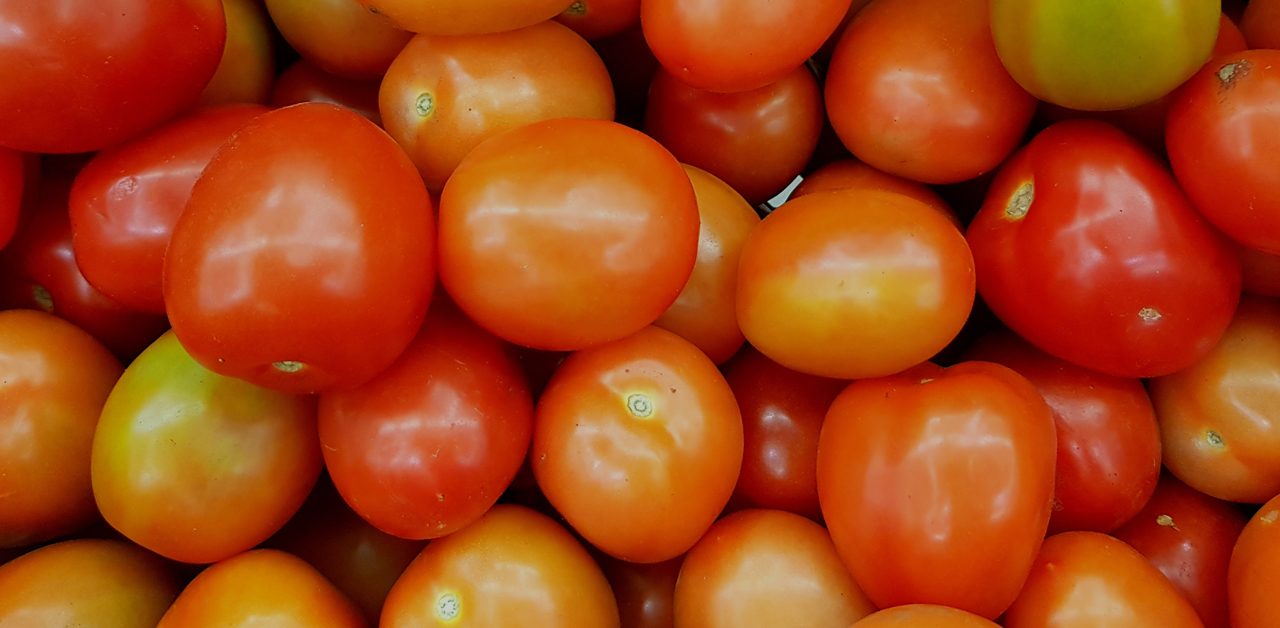 La Tomatina | Tapa Toro